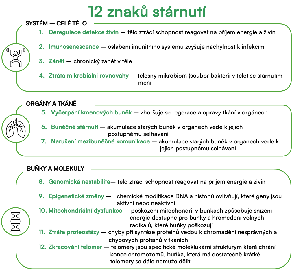 12 znaků stárnutí